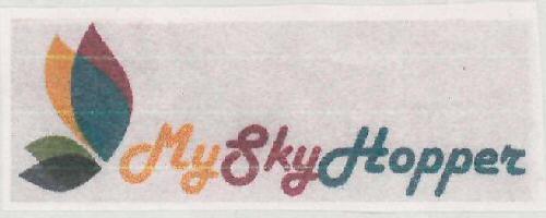 Myskyhopper Device mark 3070041 Trademark