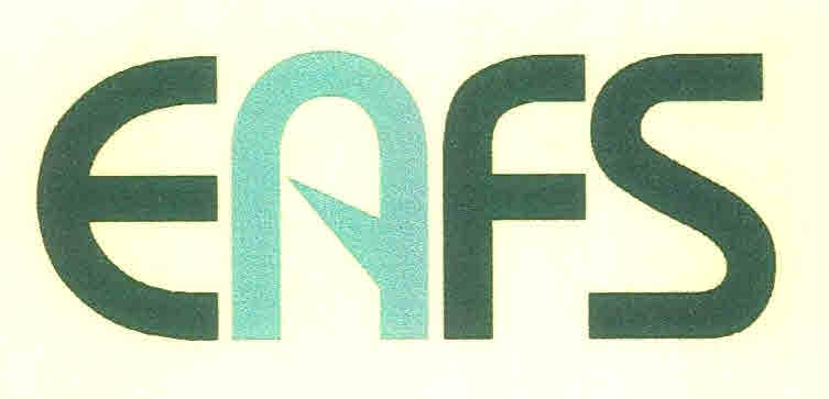 Eafs Device mark 3085689 Trademark