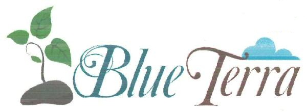 Blue Terra Device mark 3388813 Trademark
