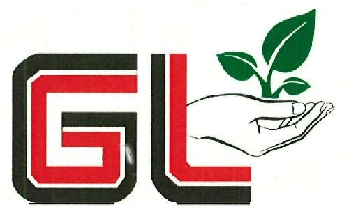 Gl Device mark 3368184 Trademark