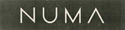 Numa Device mark 3388069 Trademark