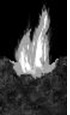 Flame (burn) (label) Device mark 3381373 Trademark