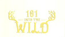 101 Into The Wild Device mark 3395805 Trademark