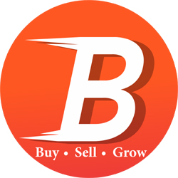 B Device mark 3429512 Trademark