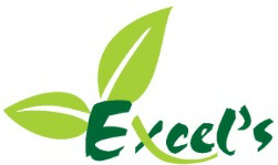 Excel's Device mark 3482437 Trademark
