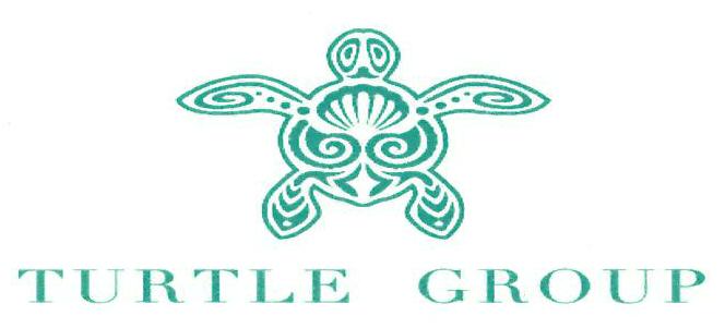 Turtle Group Device mark 3187163 Trademark