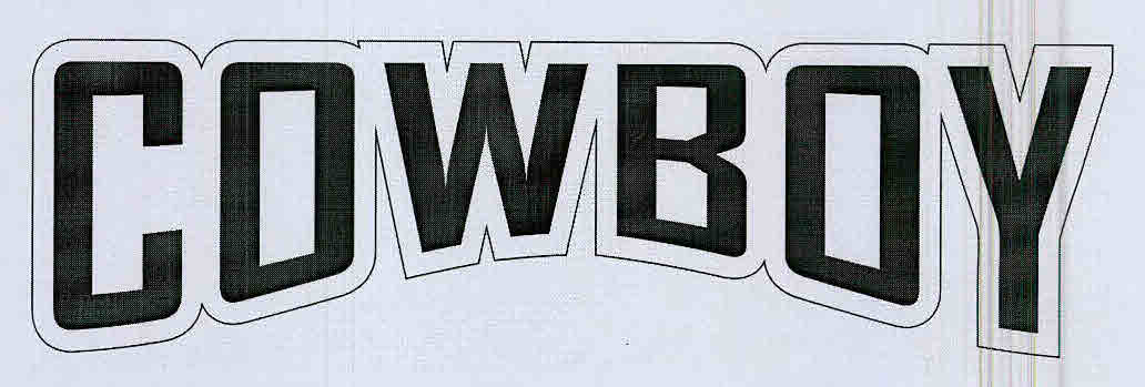 Cowboy Device mark 3187047 Trademark