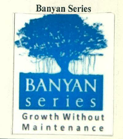 Banyan Series Growth Without Maintenance Device mark 3485194 Trademark