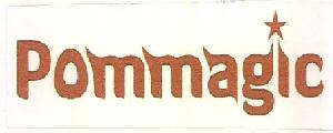 Pommagic Device mark 3241530 Trademark
