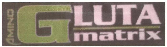 Amino Gluta Matrix Device mark 3288423 Trademark