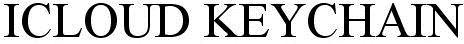 Icloud Keychain Device mark 2738884 Trademark