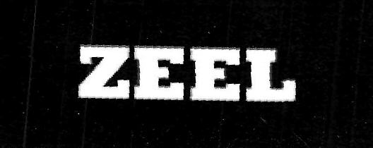 Zeel Device mark 3397646 Trademark