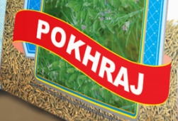 Pokhraj Device mark 3420967 Trademark