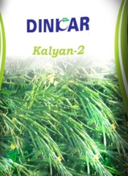 Dinkar Kalyan-2 Device mark 3420970 Trademark