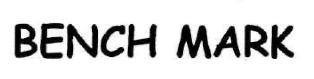 Bench Mark Device mark 2443378 Trademark