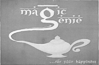 Magic Genie Device mark 2995256 Trademark