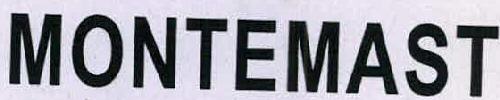 Montemast Device mark 2347545 Trademark
