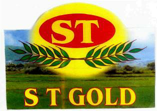 St St Gold Device mark 2378756 Trademark