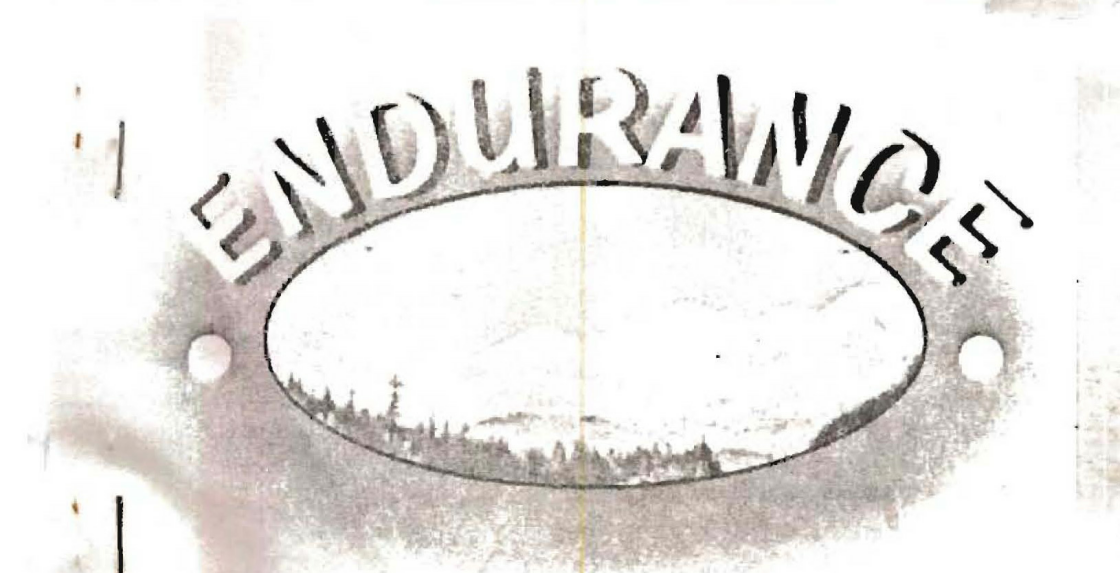 Endurance. Device mark 879758 Trademark