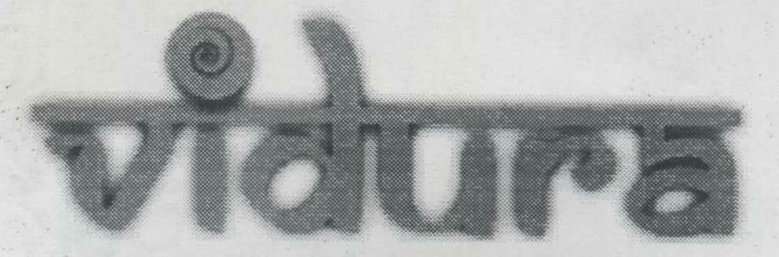 Vidura Device mark 1129040 Trademark