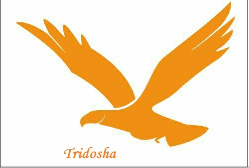 Tridosha Device mark 3478016 Trademark