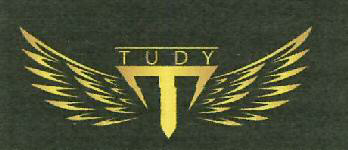 Tudy With Device Of T Device mark 3493327 Trademark