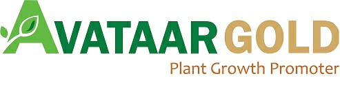 Avataar Gold Device mark 3501185 Trademark