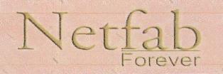 Netfab Forever Device mark 3540113 Trademark