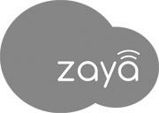Zaya Device mark 3249232 Trademark