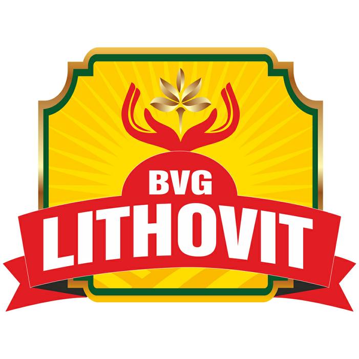 Bvg Lithovit Device mark 3549167 Trademark