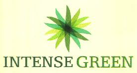 Intense Green Device mark 3499343 Trademark