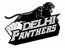 Delhi Panthers (device) Device mark 3507230 Trademark