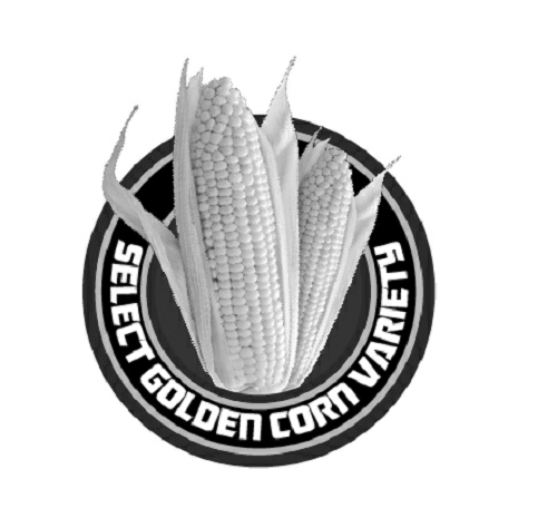 Doritos And Corn In Circle Device Device mark 3534443 Trademark