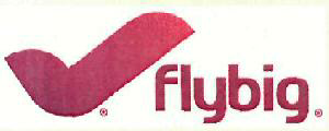 Flybig Device mark 3549756 Trademark