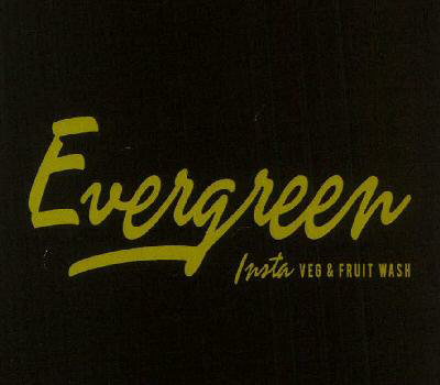 Evergreen Insta Veg & Fruit Wash Device mark 3568725 Trademark