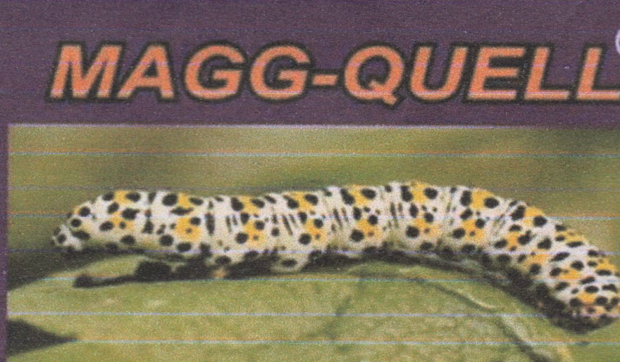 Magg-quell Device mark 3570659 Trademark