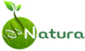 Natura Device mark 3597101 Trademark