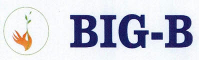 Big - B Device mark 3589112 Trademark