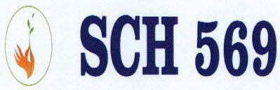 Sch 569 Device mark 3589113 Trademark