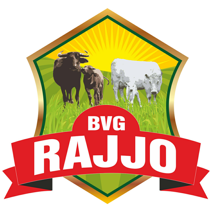 Bvg Rajjo Device mark 3548946 Trademark