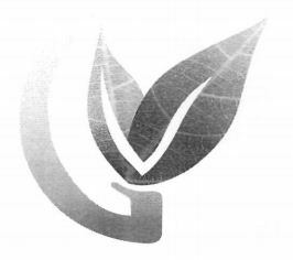 Device Of Leaves Device mark 3502076 Trademark