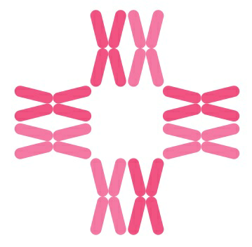 Ck Birla Hospital For Women (colour Logo) Device mark 3514304 Trademark