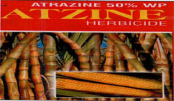 Atzine Herbicide With Device Of Sugarcane And Corn Device mark 3520792 Trademark
