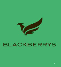 Blackberrys Device mark 3522794 Trademark