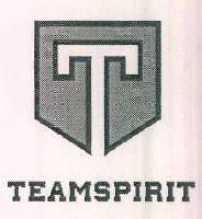 T Teamspirit Device mark 3573371 Trademark