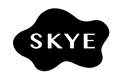 Device Of Skye Device mark 3590230 Trademark