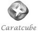 Caratcube Device mark 3600694 Trademark