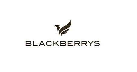 Blackberrys(bird) Device Device mark 3625994 Trademark