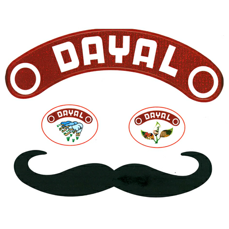 Dayal ( Virtual Character ) Device mark 3610072 Trademark