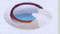 Circular Device Device mark 3653005 Trademark